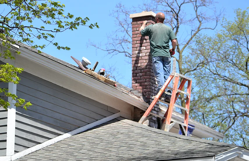 Chimney & Fireplace Inspections Services in Inver Grove Heights, MN